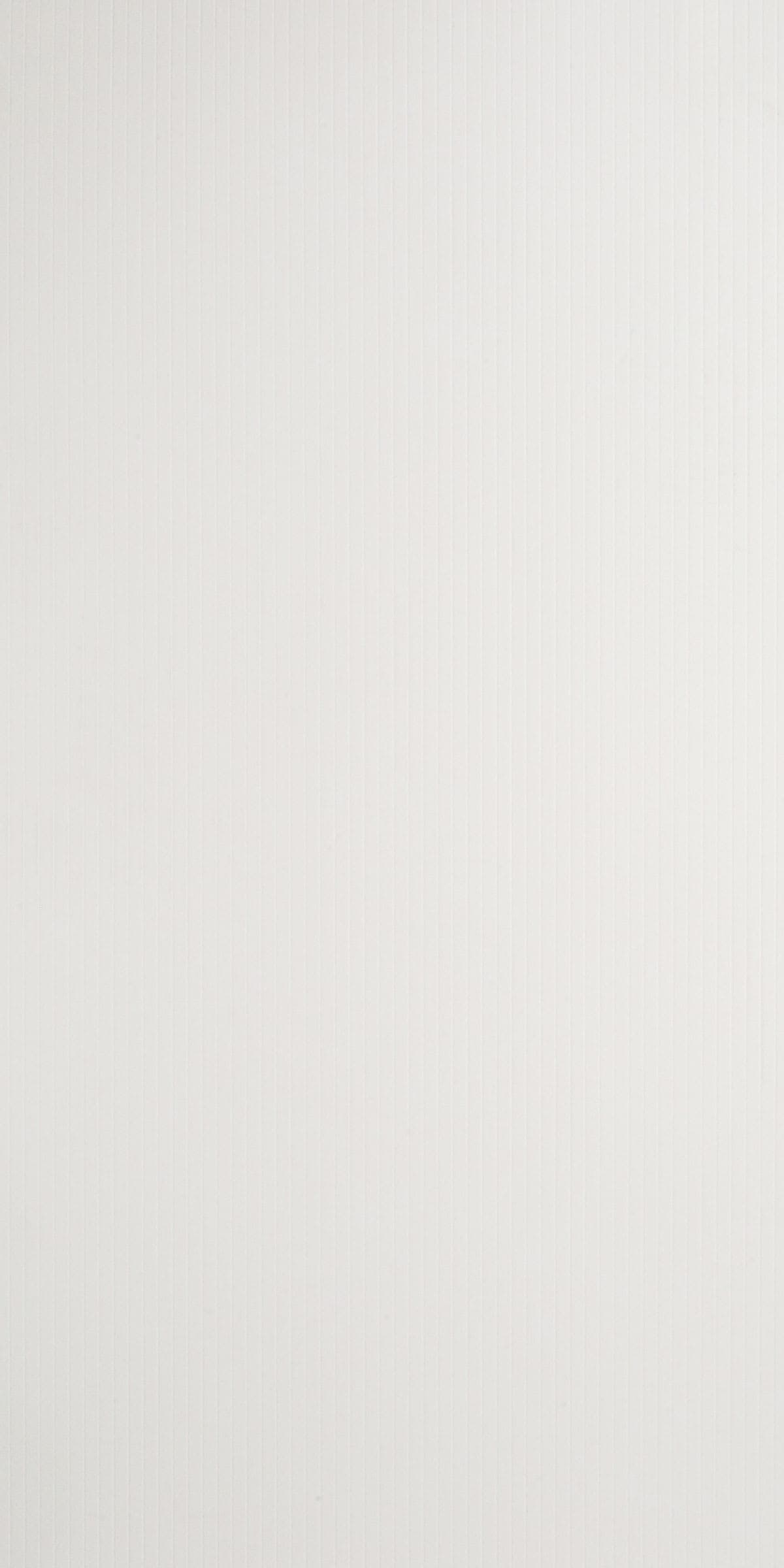 31006 Lara (Starry White)