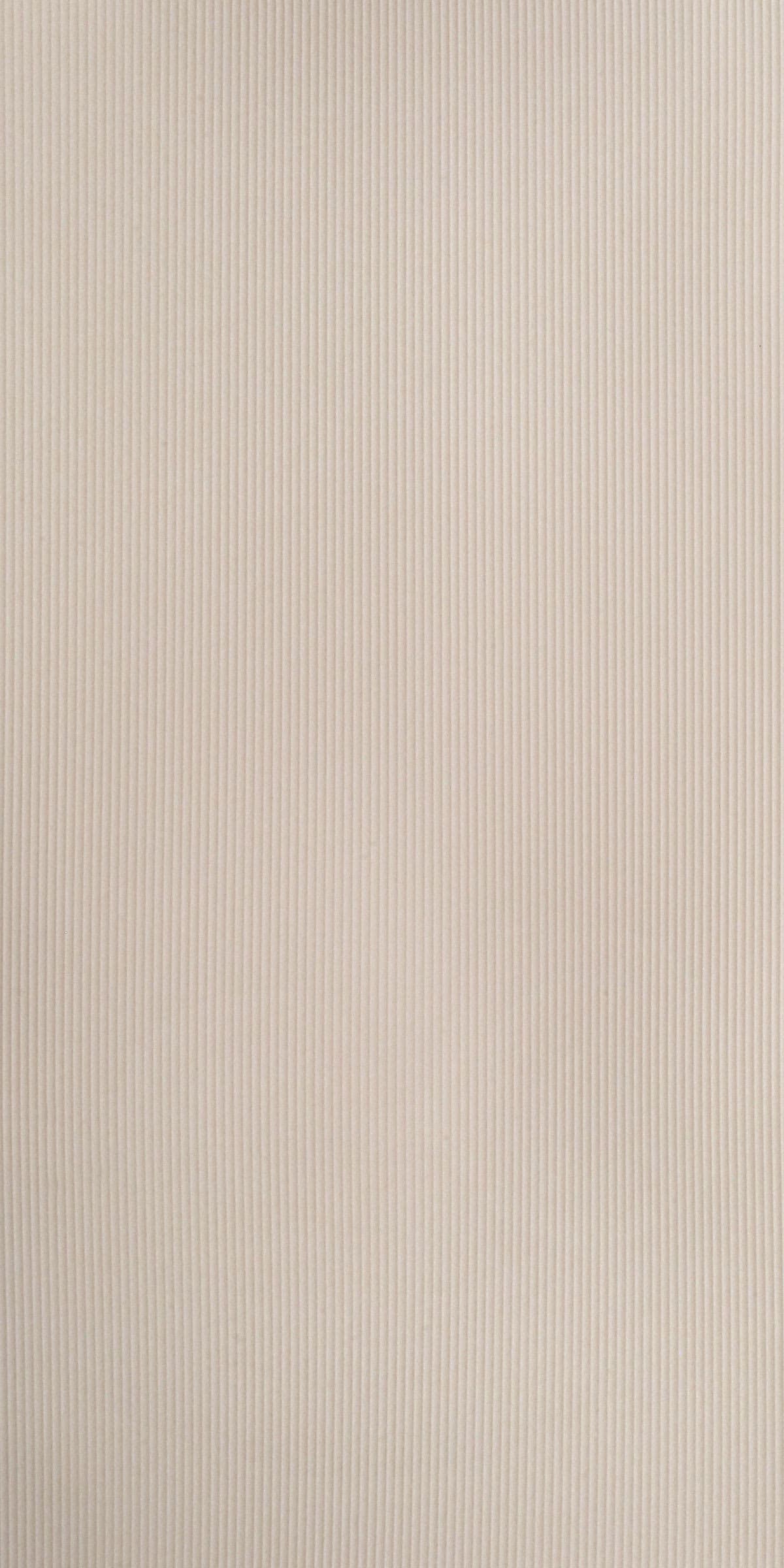 31011 Lara ( Sandshell)