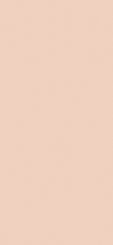 AS 328 (BLUSH PINK)