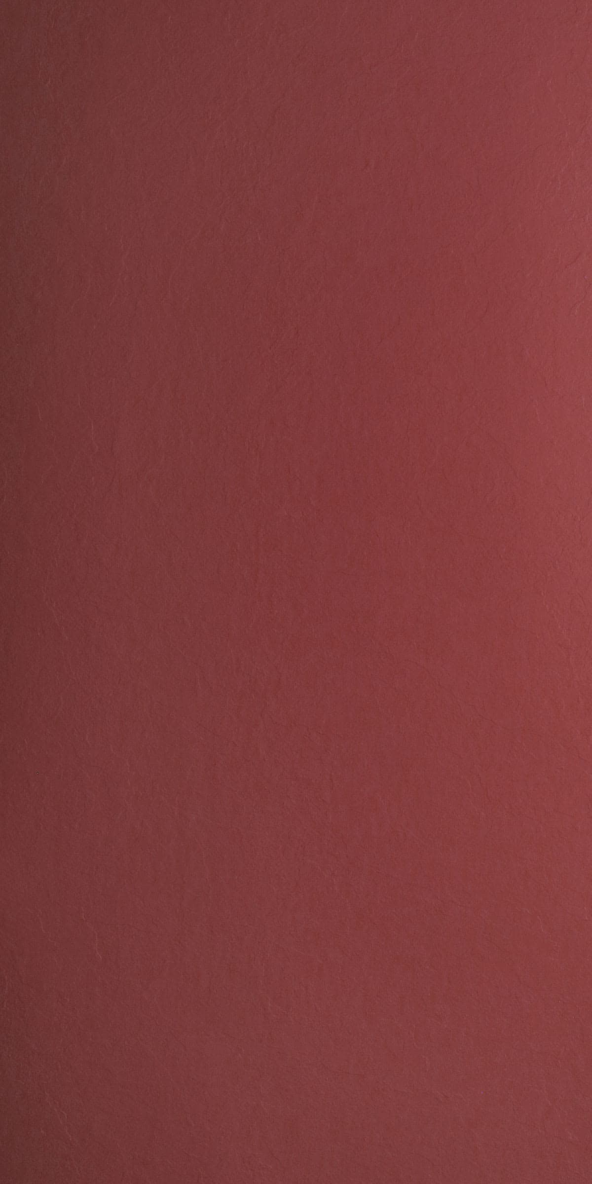 31018- Shale Apricot