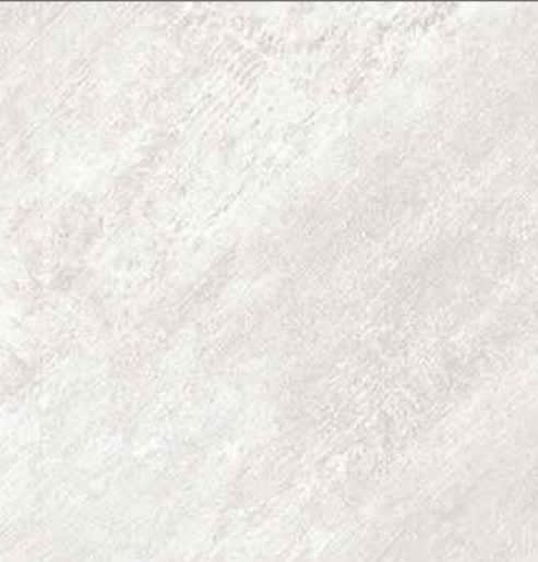 413- HG (CANTONA FIR)