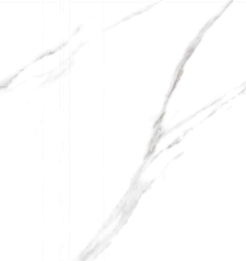 2004-HR (STATURIO VENATO)