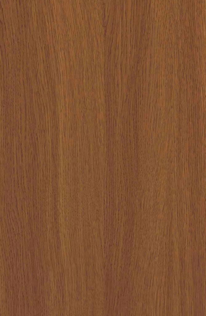 3136-HG (SESSAILE OAK)