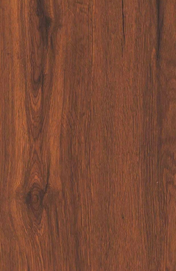 423-HG (PAYNE BIRCH)