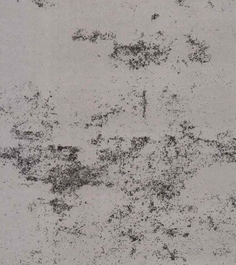 410-ZR (RIDGE RUSTIC)