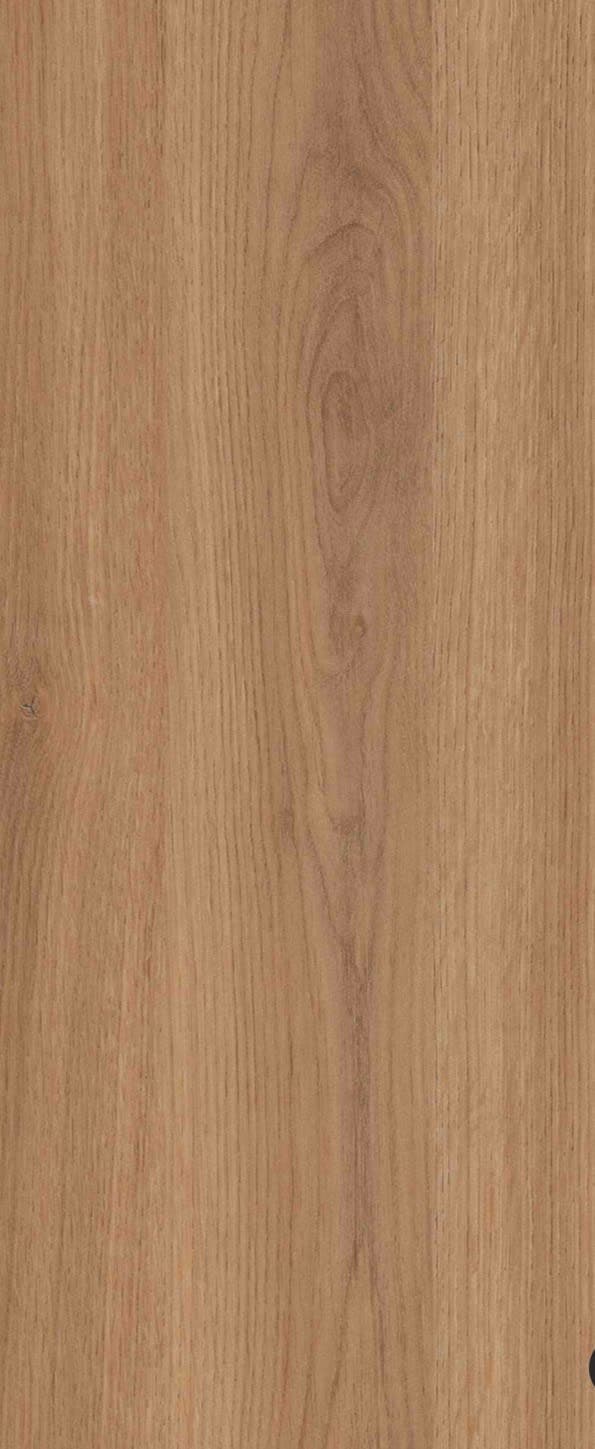 449- ZB(LOREAL TEAK)